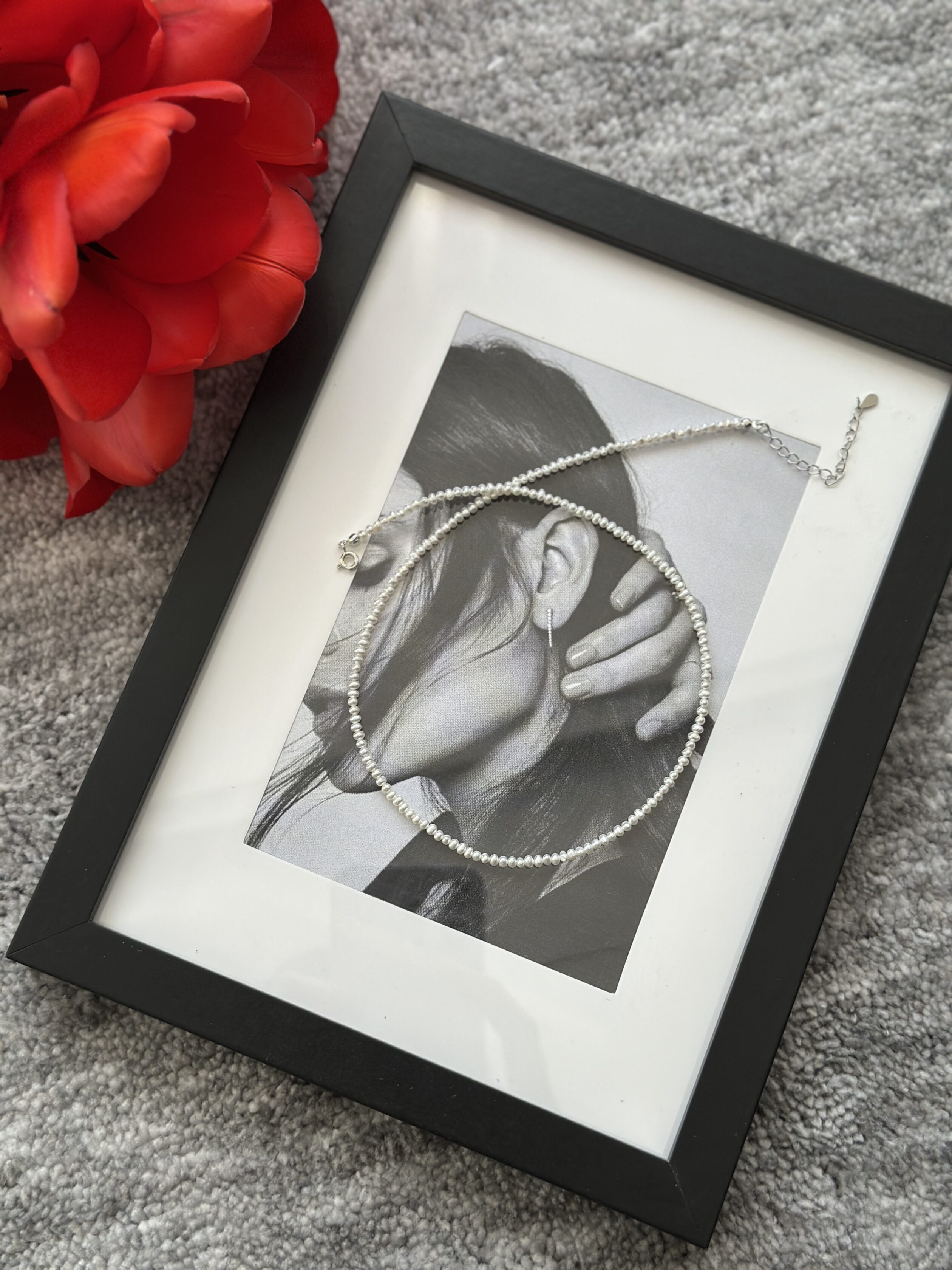 IMG_6576