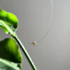 IMG_6640-scaled-1.jpg