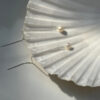 IMG_7616-scaled-1.jpg