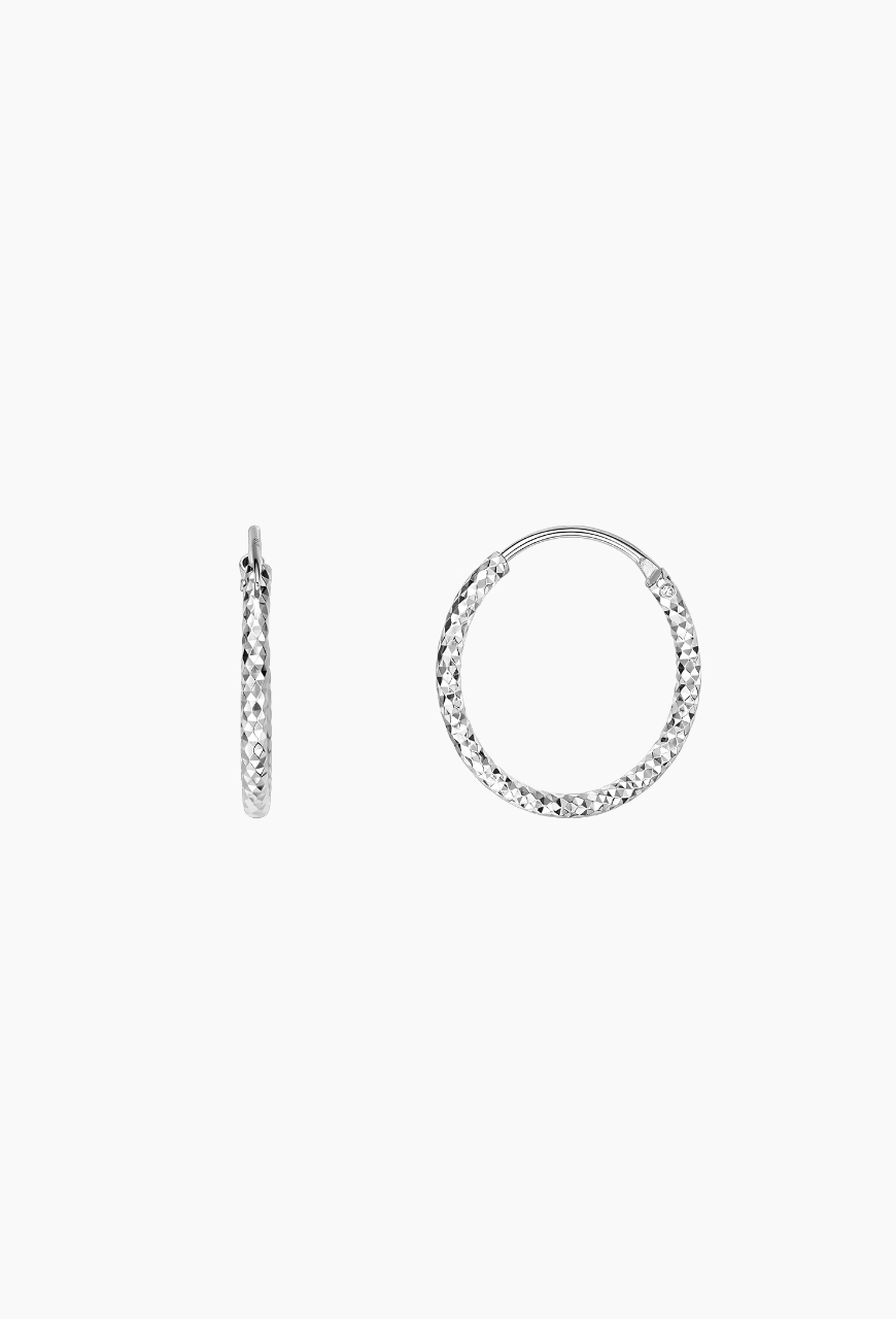 Cercei Circle Hoops din argint 925, argintii, S