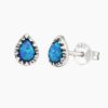 cerceiopal04