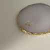 stea3-scaled-1.jpg